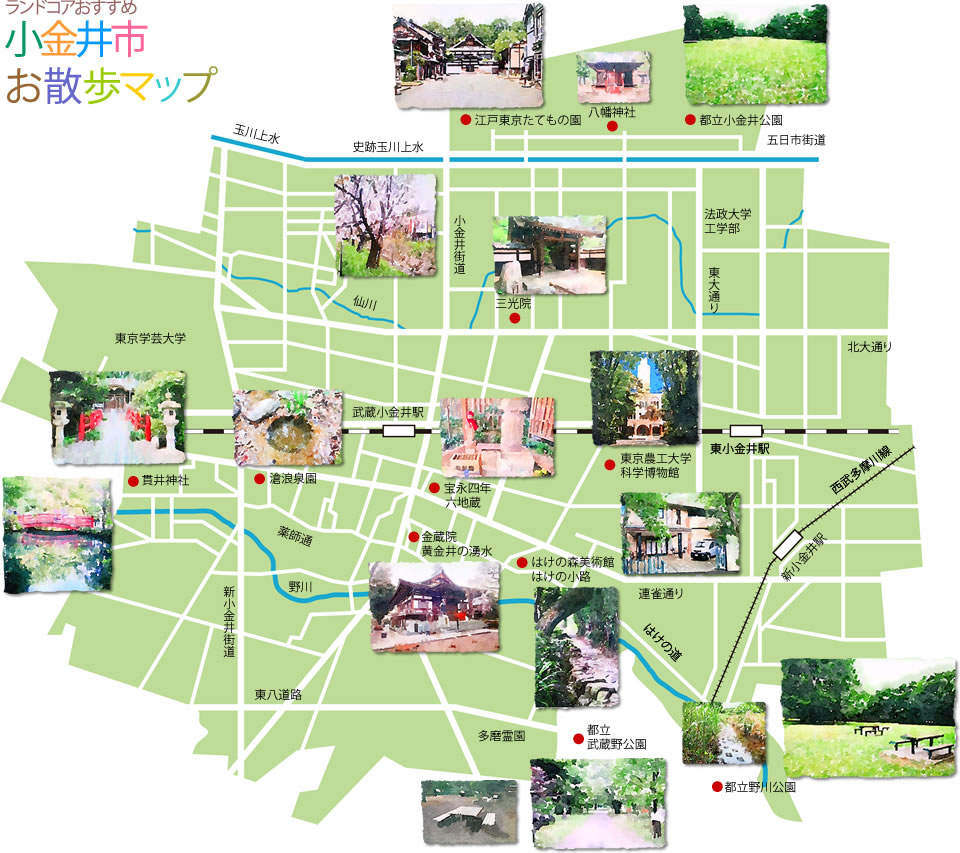 ランドコアおすすめ小金井市お散歩マップ